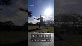 Técnica de Tai Chi Chuan #taichi #buenosaires