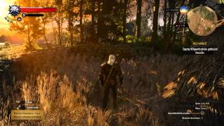 The Witcher 3 almost ultra settings on GTX 960 4GB [60fps]