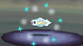 LIVE! Shiny Tynamo after 10,476 REs in White! (BQ #6)