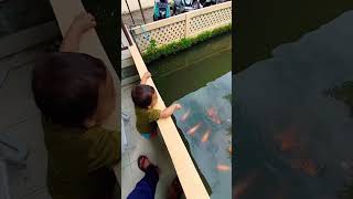 LAGI HITUNG IKAN DI KOLAM CENAH~ #baby