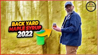 Backyard Maple Syrup 2022!