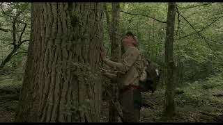 HIDDEN LIFE OF TREES - vanaf 12 augustus in de bioscopen!