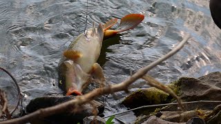 Amazing tripple hook fishing,आधी केली भन्नाट फिशिंग,जुलेखा ताईंनी बनवले बकरा पायाचे चवदार  कालवण