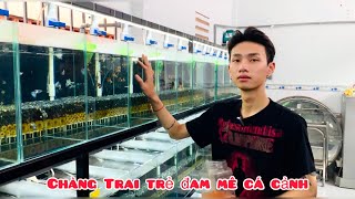 Tâm sự của chàng trai đam mê cá Cảnh | Chia sẻ kinh nghiệm nuôi cá bảy màu thuần chủng