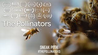 The Pollinators (2020) | Sneak Peek 1