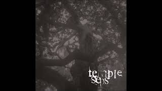 Temple Steps - Gates of Covid (FULL EP STREAM)