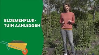 Zo leg je zelf een bloemenpluktuin aan