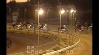 Wangaratta trots 1988