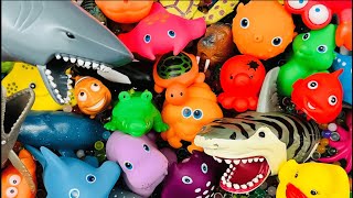 SEA ANIMALS FOR KIDS, ZOO AND WILD ANIMALS FOR KIDS, FARM ANIMALS FOR KIDS, ANIMAL TOYS IN WATER