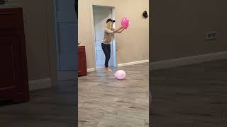 A dog finds some balloons