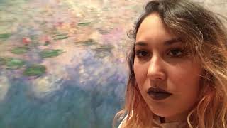 VLOGUE #034 - NEW YORK MANHATTAN (CLAUDE MONET WATER LILIES IN MOMA)