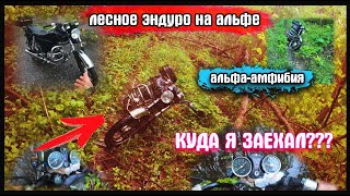 Off-road на мопеде альфа. Внедорожные лесные покатушки