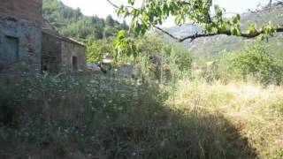 Property For Sale in the France: Languedoc-Roussillon Hrault