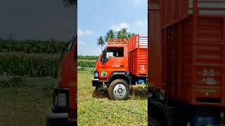 Eicher New Launch 6 Wheels Truck #youtubeshorts