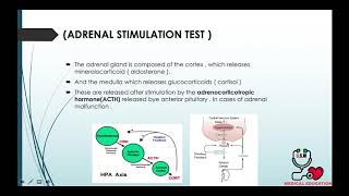 7-Adrenal Stimualtion Test