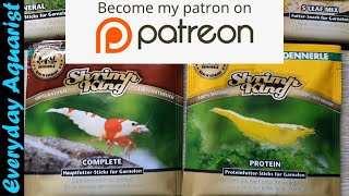 Feeding Shrimp King Complete To My Raccoon Tigers & ANNOUNCING MY PATREON PAGE