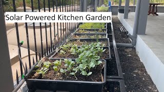 Solar Powered Kitchen Garden