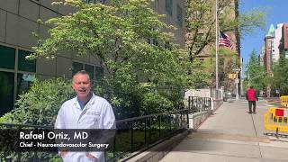 Spinal Arteriovenous Malformations (AVMs) | Lenox Hill Neurosurgery