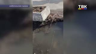 "Вода из ниоткуда": В Бердске жители дома на Попова жалуются на затопление подвала