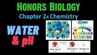 Water & pH (Honors Biology)