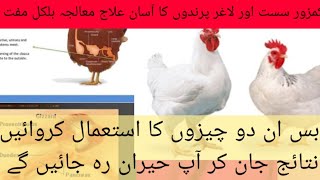 Growth Promoter for Chickens | Yogurt and Turmeric for Poultry Birds | Dr. ASIF