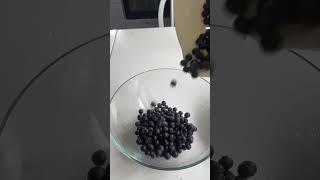 Blueberry#shortvideo #youtube #berry#berries #fruit #fypシ゚