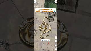 🤯😱giant snake 🐍 in real life 👀 on google earth map 🌎 zooming short video 🤯#shorts #ytshorts