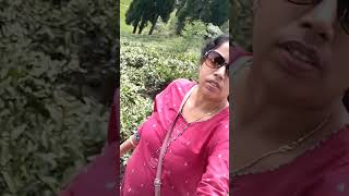 Rangli Rangliot Tea Estate #reels#youtube #shorts #soma