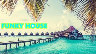 ⭐SET MIX FUNKY HOUSE CLUB | by ❌ [DJ VYGER]