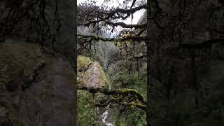 dangerous way of yamunotri temple, yamunotri, uttrakhand🥱