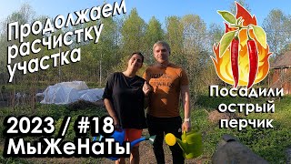 #18/2023/ Продолжаем расчистку участка / Острый перчик / МыЖеНаТы