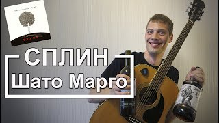 Аккорды Шато Марго - Сплин (Разбор для гитары, видеоурок на гитаре Сплин)