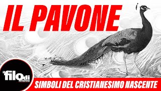 Simboli del Cristianesimo Nascente   il Pavone