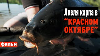 Ловля карпа в "Красном Октябре". Рыбалка двое суток как один день.