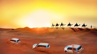 Dubai Desert Dune Safari: Thrilling 4x4 Ride You Can't Miss! | blessed4life