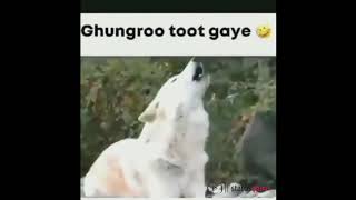 Ghungroo toot gaye - status guru