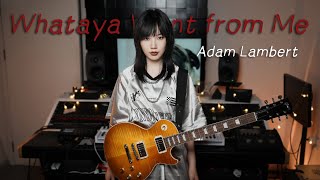 Whataya Want from Me - Adam Lambert（Cover）