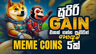 සුපිරි  Gain  එකක් ගන්න පුළුවන්  හොඳම Meme Coins 5 ක්