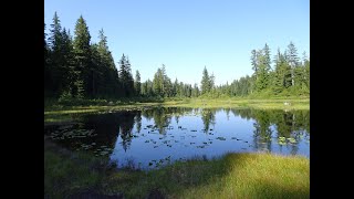 Munro Lake in Pinecone Burne Provincial Park near Coquitlam, BC - ihikebc com