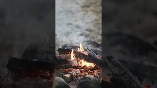 Close-Up Flames: Mesmerizing 4K View of a Crackling Campfire 🔥🌌