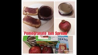 Pomegranate Jam Spread