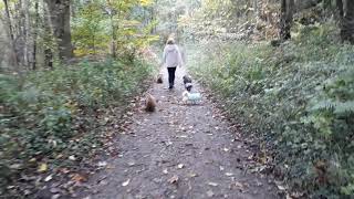 Start of The Cleveland Way To Rievaulx Abbey Helmsley North Yorkshire UK