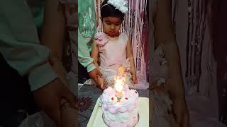 Shanvi's 5th birthday celebration