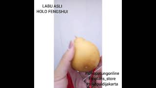 Labu Dewa Asli Holo Fengshui #toplaris_store #tokopuidijakarta