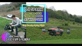 DJI SPARK Boomerang Quickshot Video Of Trees