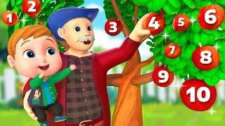 Este Hombre Viejo 👴 | ¿Cuántas Manzanas Hay? | Canciones Infantiles - Bum Bum Kids En Español