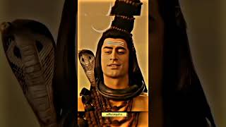 भगवान हमेशा अपने भक्तों का ध्यान रखते हैं||#mahadev #shivaay #lordshiva #shorts