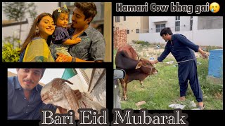 Bari Eid Mubarak sabko♥️ Hamari Cow bhag gai🥲|MINAAZ LIFE