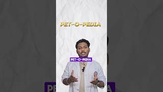 Pet-o-pedia a series where you can learn everything about pet animals!! #shorts #animals #pets #dog