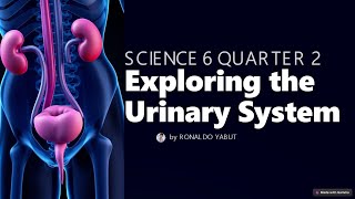 SCIENCE 6 QUARTER 2 | URINARY SYSTEM | Titser Ron